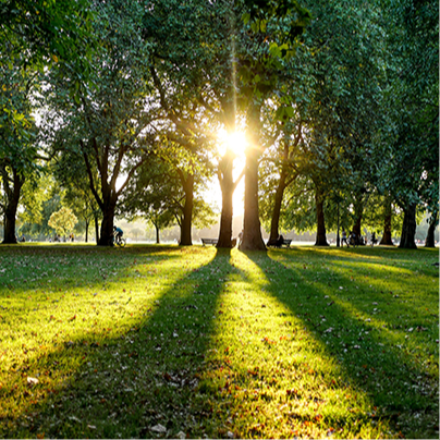Enjoy a fresh air stroll around Hyde Park, 1km away