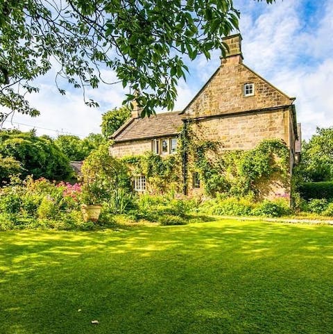 Play lawn games in your lush garden