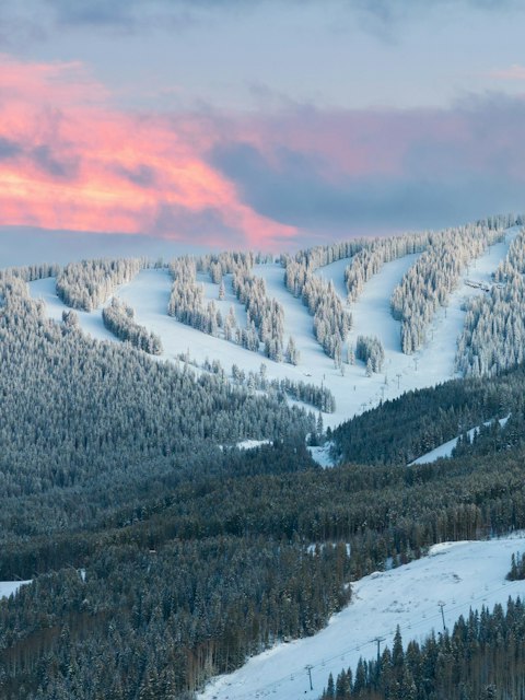 Base yourself in Vail, within easy reach of slopes