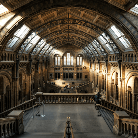 Spend a fun afternoon exploring the Natural History museum