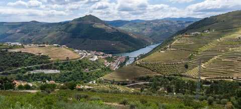 Tour terraced vineyards producing Portugal's world-renowned Port, a sixteen-minute drive