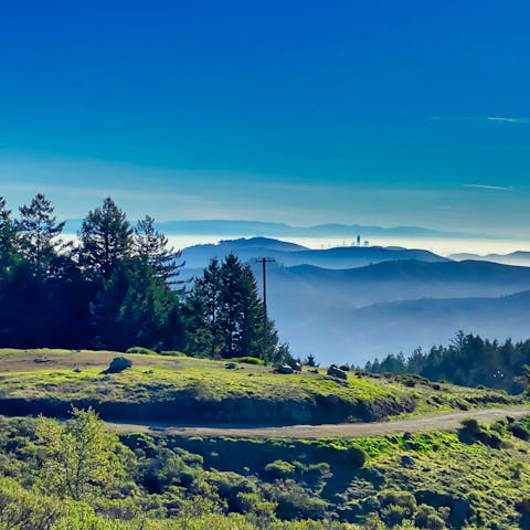 Take to the trails of Muir Woods National Monument