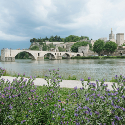 Take a day trip to the charming city of Avignon and stroll along the Rhône