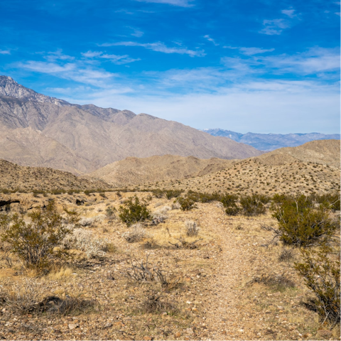 Hit the nearby hiking trails or drive to Palm Springs