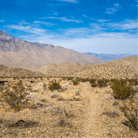 Hit the nearby hiking trails or drive to Palm Springs