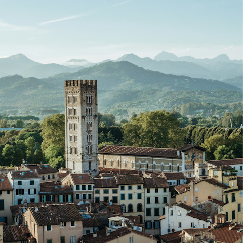 Explore the walled town of Lucca on foot