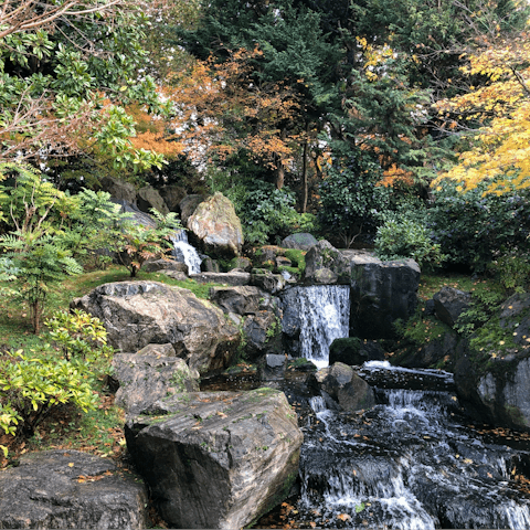 Take a morning stroll through leafy Holland Park, a seven-minute walk away