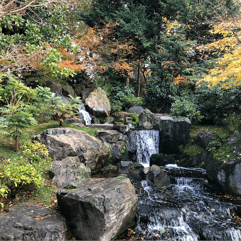 Take a morning stroll through leafy Holland Park, a seven-minute walk away