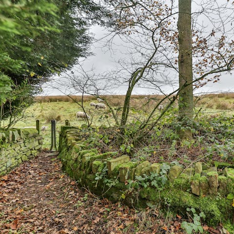 Immerse yourself in the countryside and meet your neighbours –⁠ there are multiple footpaths right on your doorstep