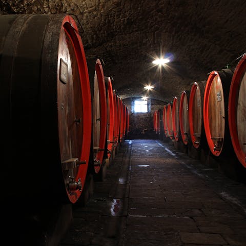 Explore the heart of the Chianti wine region