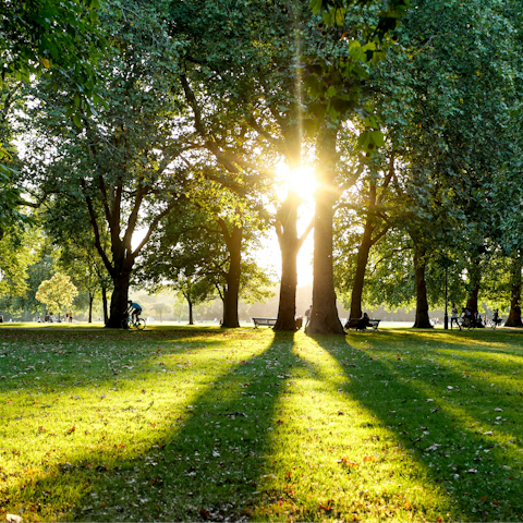 Savour afternoon strolls through Hyde Park