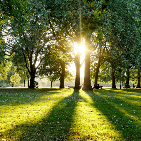 Savour afternoon strolls through Hyde Park