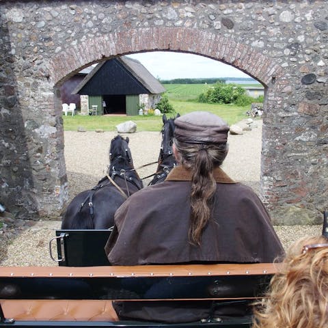 Explore your surroundings from the back of a horse-drawn wagon