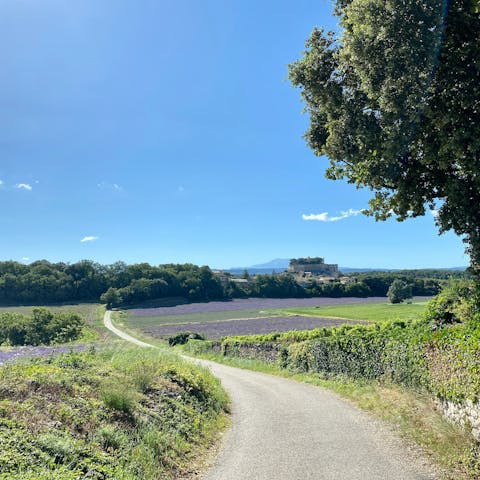 Stay a short drive from the pretty hilltop village of Grignan