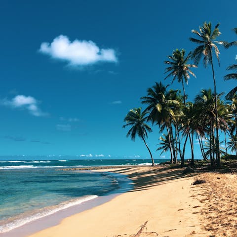 Enjoy your stay on an exclusive resort, moments away from the beach