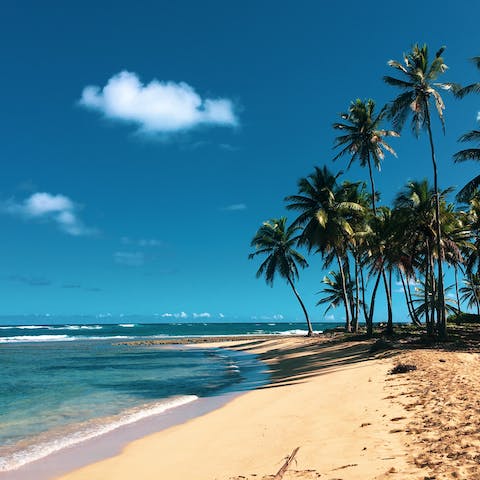 Enjoy your stay on an exclusive resort, moments away from the beach