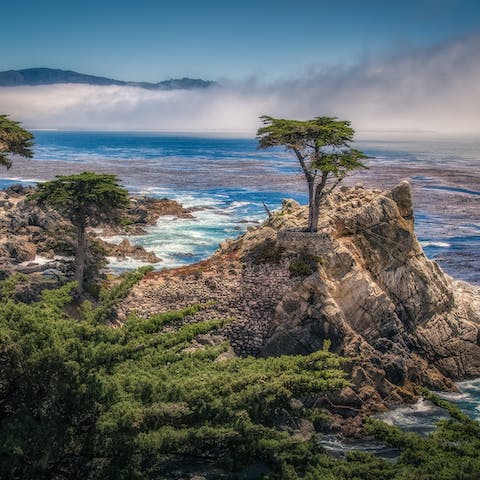 Stay just a four-minute walk away from Carmel Beach