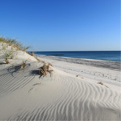 Drive to beautiful Folly Beach in just 25 minutes