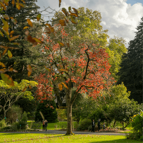 Reconnect with nature at the nearby Jardin des Plantes