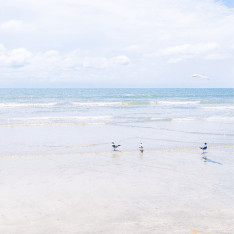 Stroll to Isle of Palms beach, one block away