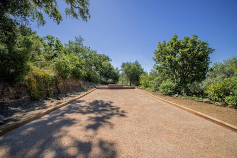 Play pétanque among the oaks on a sun-warmed afternoon
