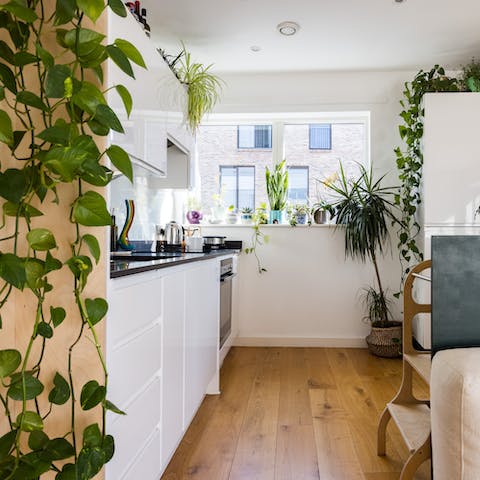 Pick up a few tips on plant styling