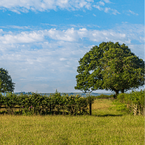 Put on your wellies and explore the great outdoors – Hesworth Common is just outside