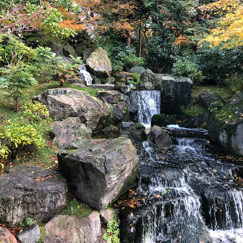 Take a stroll through Holland Park, just a three-minute walk away