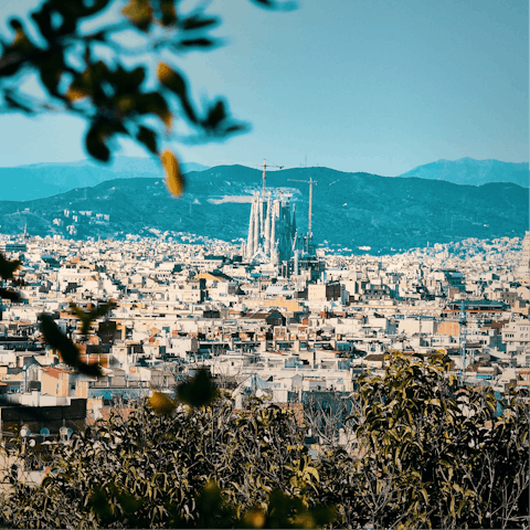 Explore the beautiful city from your excellent location