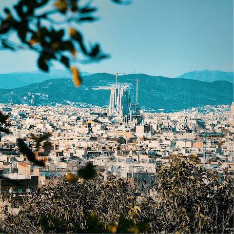 Explore the beautiful city from your excellent location