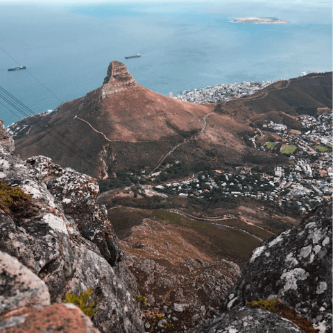 Drive over to Table Mountain in thirty-five minutes for challenging hikes and scenic points