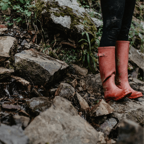 Pull on the wellies provided by your host and enjoy an afternoon walk