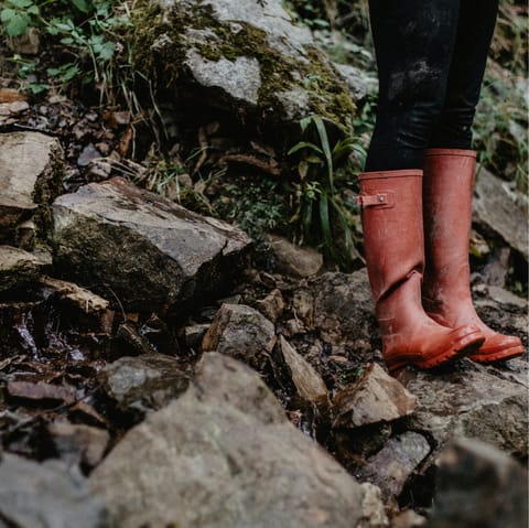 Pull on the wellies provided by your host and enjoy an afternoon walk