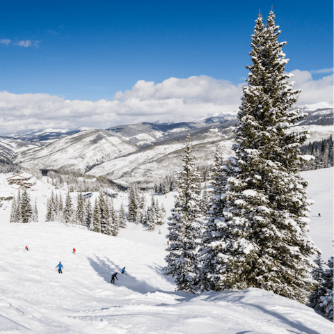 Take a short drive to world-class ski resorts