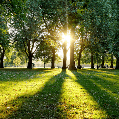 Spend an afternoon strolling through Hyde Park