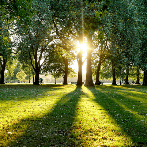 Spend an afternoon strolling through Hyde Park