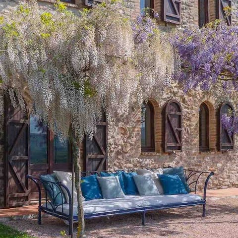 Take a scented nap under the wisteria