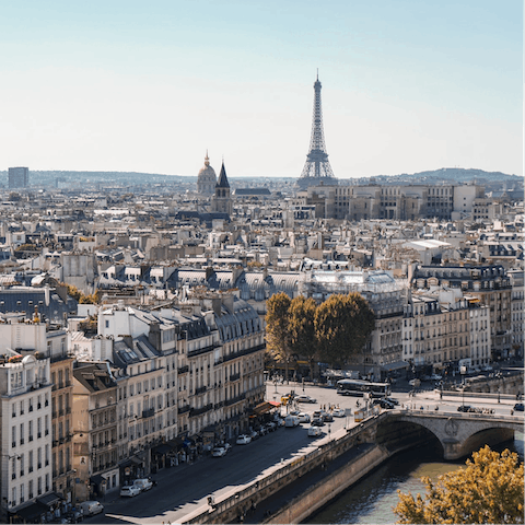 Get a bird's eye view of Paris from the Eiffel Tower, just a five-minute stroll from this home