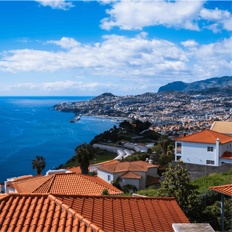 Explore Madeira from this desirable location near Funchal's promenade