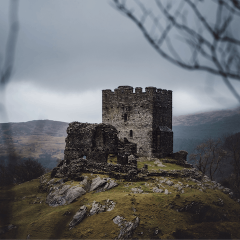 Take a trip to Dolwyddelan Castle, just a short hike from home