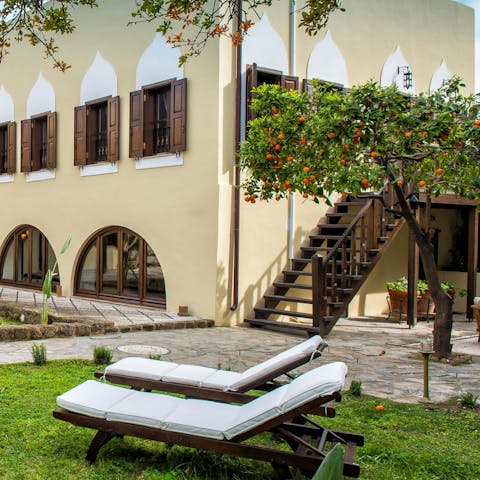 Fall asleep in the sun, under the fragrant shade of orange trees
