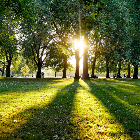 Enjoy an afternoon stroll through Hyde Park, one minute away