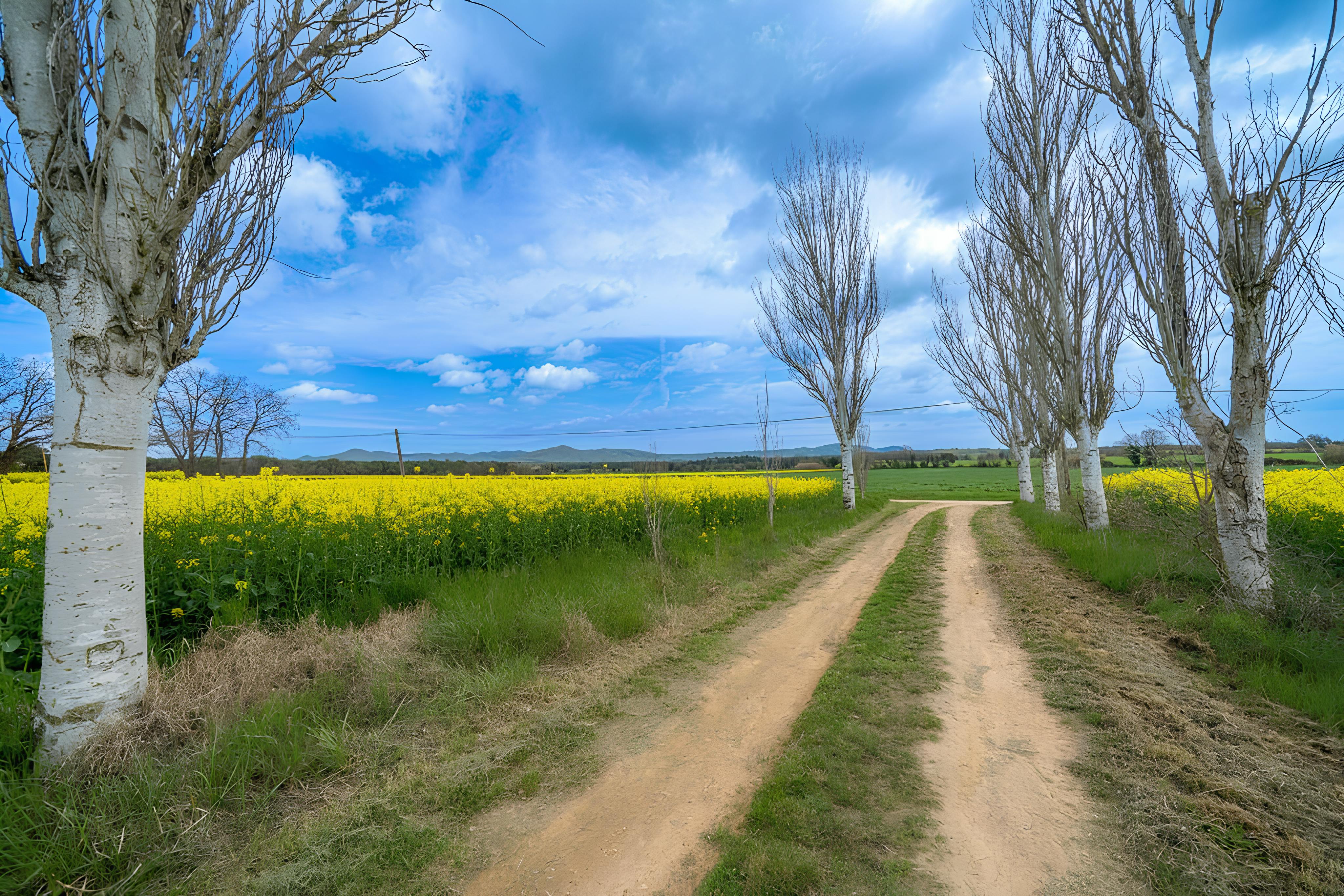 Stones of Llagostera