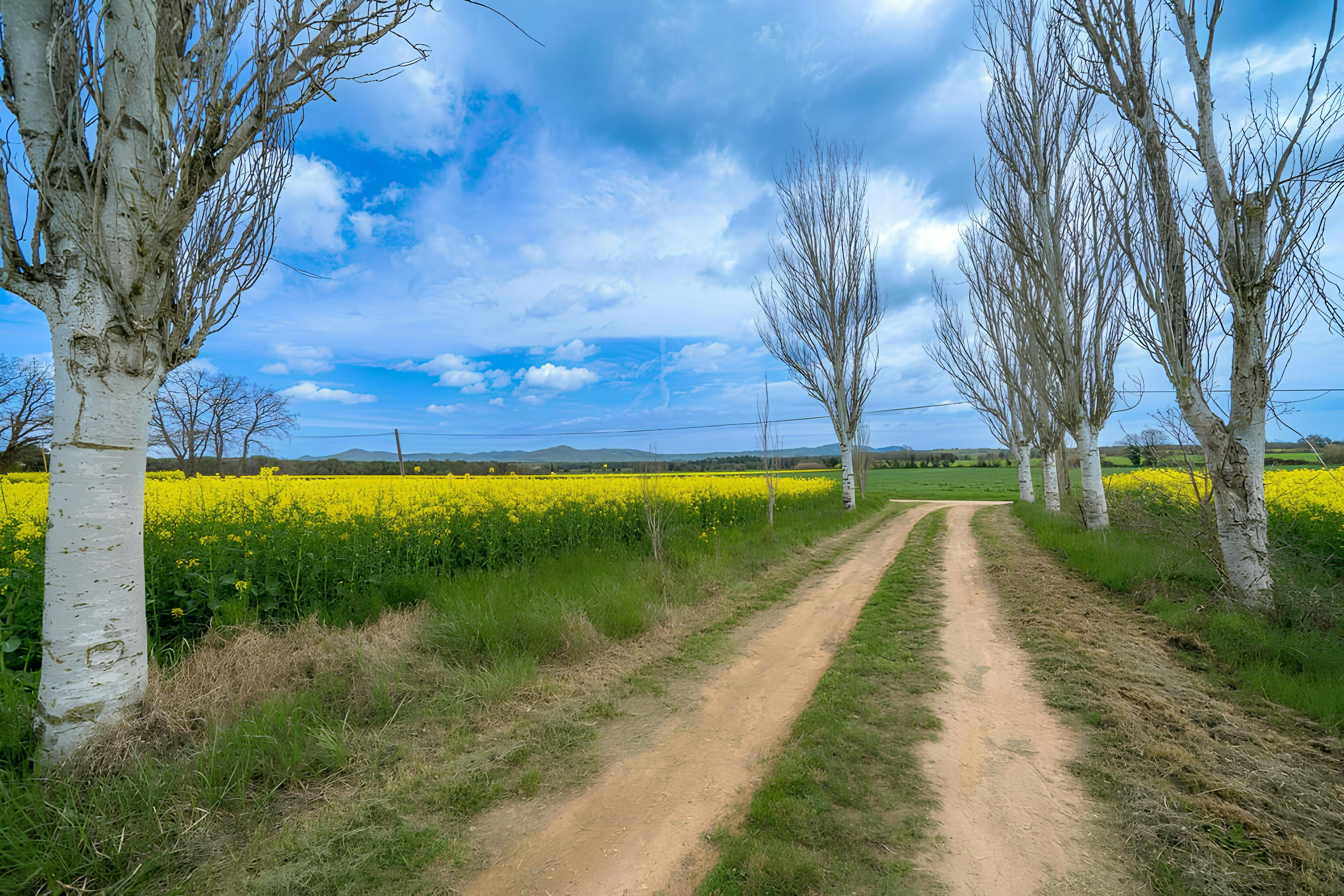 Stones of Llagostera
