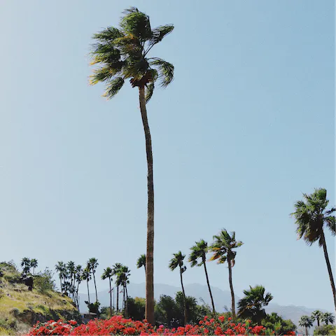 Jump in the car and take a five-minute drive to Downtown Palm Springs