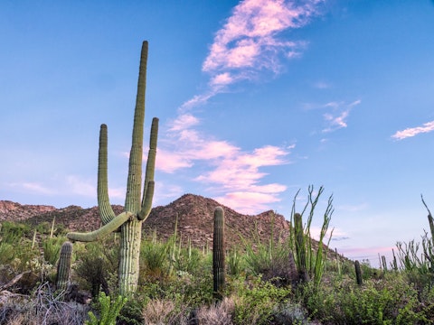 Stay in the desert of Arizona, on the outskirts of Arizona
