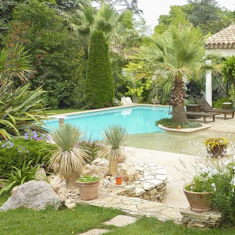 Dip in the pool immersed in the wild garden