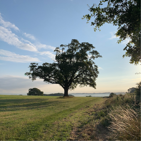 Make the most of the idyllic countryside setting in Shropshire