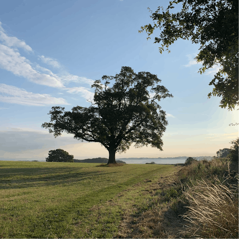 Make the most of the idyllic countryside setting in Shropshire