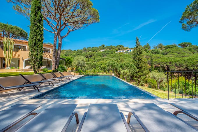Provençal Star